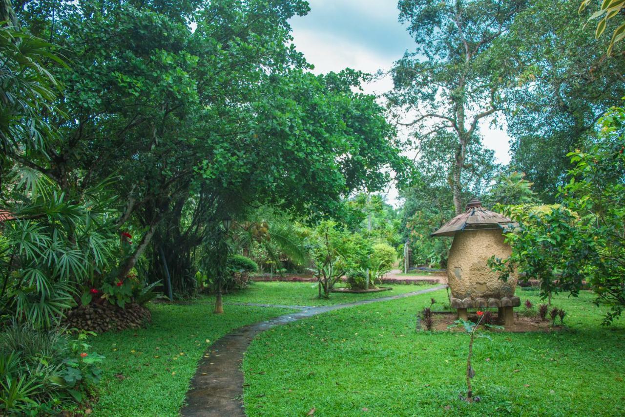 אביסוולה Randiyaepiliyagoda Resort מראה חיצוני תמונה
